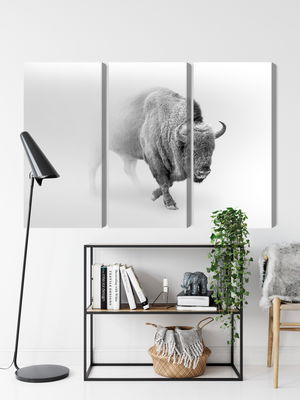 Ljuddämpande tavla - Bison in the fog 3d