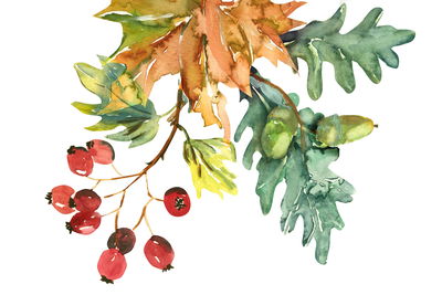 Ljuddämpande tavla - Autumn leaves and fruits