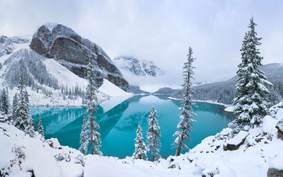 Ljuddämpande tavla - Moraine Lake in winter
