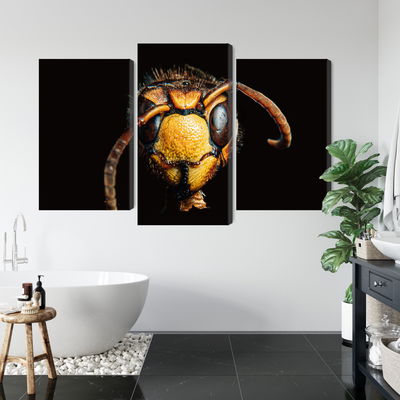 Ljuddämpande tavla - Hornet on a macro scale