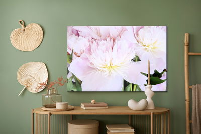 Ljuddämpande tavla - Peony rose in light pink