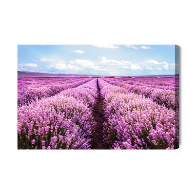 Ljuddämpande tavla - 3d blooming lavender field