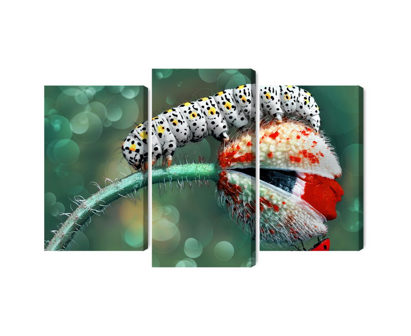 Ljuddämpande tavla - A caterpillar and a ladybug