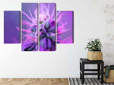 Ljuddämpande tavla - Macro plant on a pink-purple