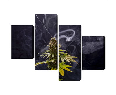 Ljuddämpande tavla - Cannabis plant on a smoky