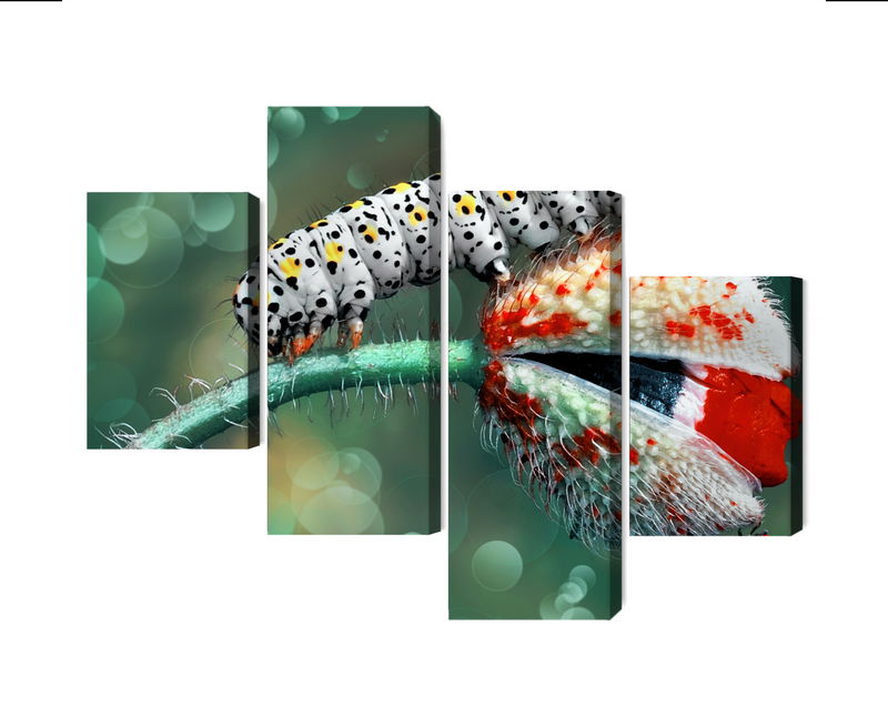 Ljuddämpande tavla - A caterpillar and a ladybug