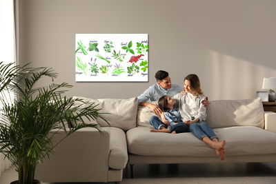 Ljuddämpande tavla - Described herbs and spices