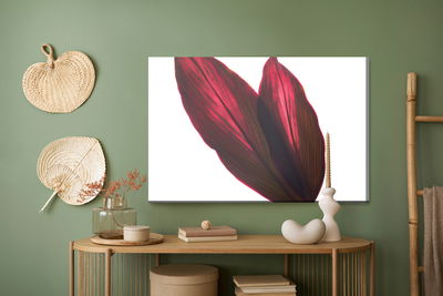 Ljuddämpande tavla - Cordyline bush leaves