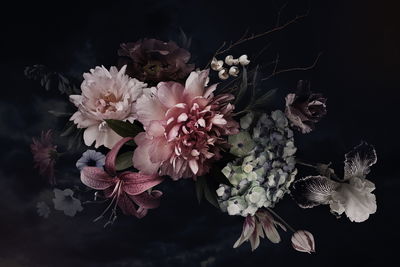 Ljuddämpande tavla - Peonies on a dark background