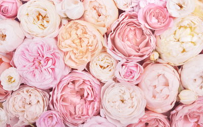 Ljuddämpande tavla - Blooming flowers in pastel