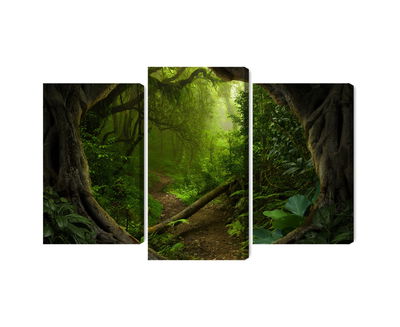 Ljuddämpande tavla - Path in the tropical forest