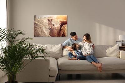 Ljuddämpande tavla - A foal on a background