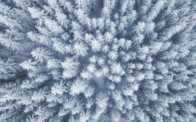 Ljuddämpande tavla - Aerial view of the winter