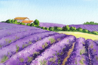 Ljuddämpande tavla - Lavender field painted