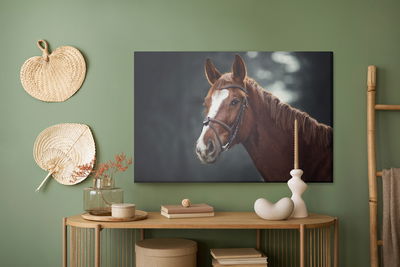 Ljuddämpande tavla - Horse on the background