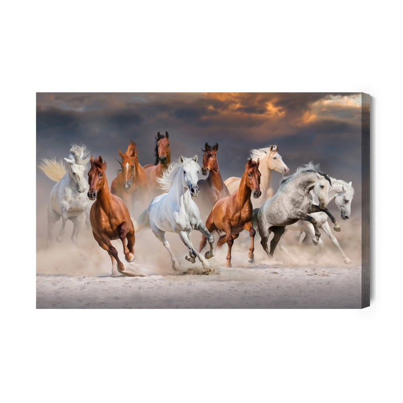 Ljuddämpande tavla - Horses in the desert