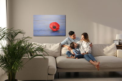 Ljuddämpande tavla - Poppy flower on a blue