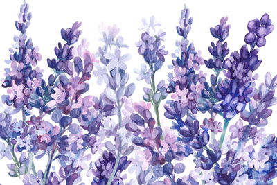 Ljuddämpande tavla - Watercolor lavender