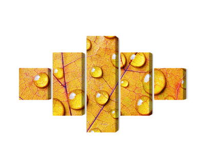 Ljuddämpande tavla - Water drops on an autumn