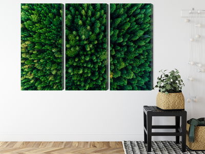 Ljuddämpande tavla - Aerial view of the green