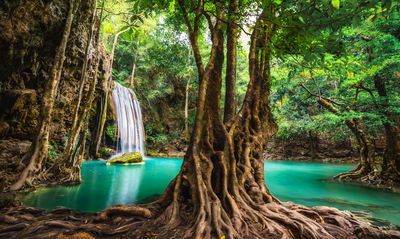 Ljuddämpande tavla - Erawan waterfalls