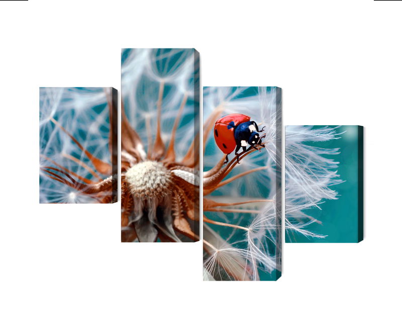 Ljuddämpande tavla - Ladybug on a dandelion