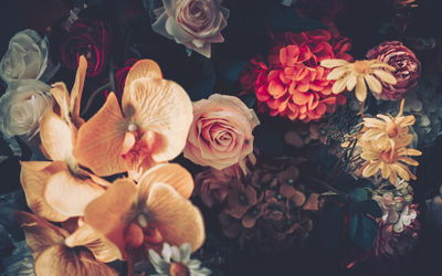 Ljuddämpande tavla - Multi-colored flowers