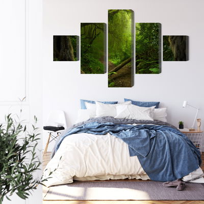 Ljuddämpande tavla - Path in the tropical forest