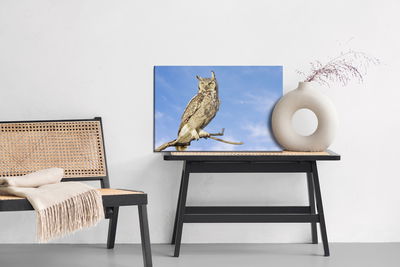 Ljuddämpande tavla - Bird of prey against the sky
