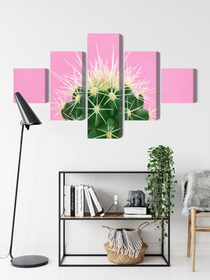 Ljuddämpande tavla - Cactus on a pink background