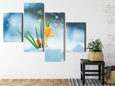 Ljuddämpande tavla - Yellow crocuses breaking