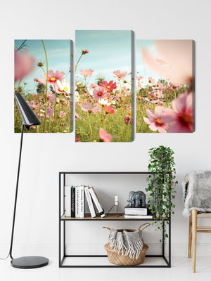 Ljuddämpande tavla - Cosmos flowers in the garden