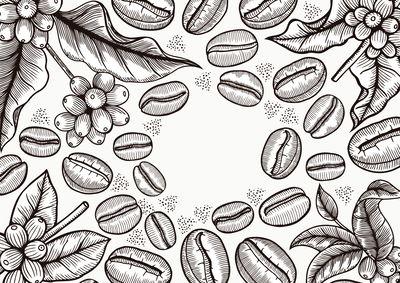 Ljuddämpande tavla - Drawing coffee beans
