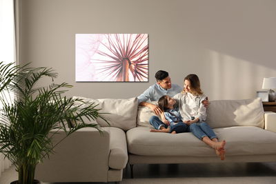 Ljuddämpande tavla - Dandelion seeds