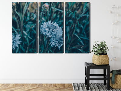 Ljuddämpande tavla - Cornflowers in the meadow 3d