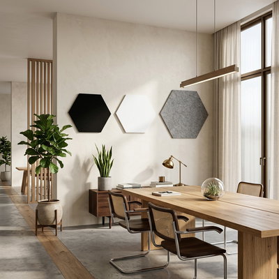 SilentDirect PES Hexagon Wall wall absorbers in black, white, and gray in a modern office setting