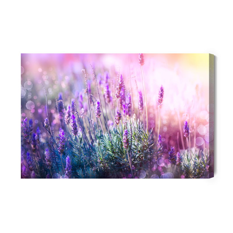 Ljuddämpande tavla - Blooming lavender 3d