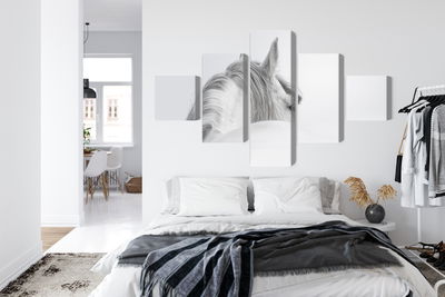 Ljuddämpande tavla - Andalusian horse in the fog