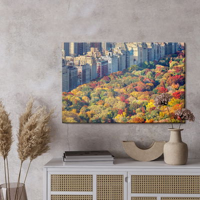 Ljuddämpande tavla - Central park aerial view