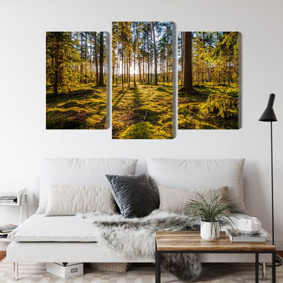Ljuddämpande tavla - 3d sunny forest landscape