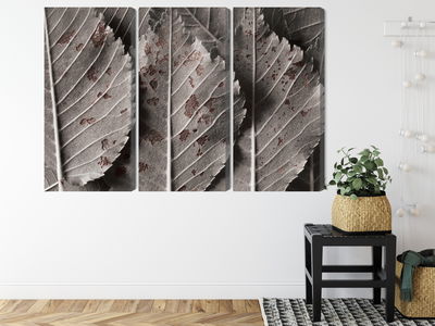 Ljuddämpande tavla - Gray leaves on a macro scale