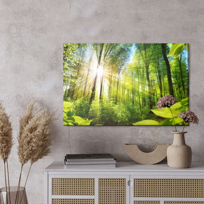 Ljuddämpande tavla - Sunrise in a green forest