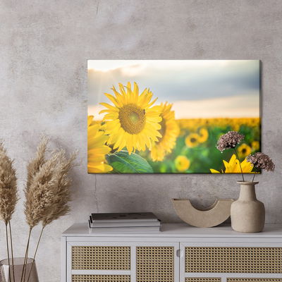 Ljuddämpande tavla - A field of beautiful yellow