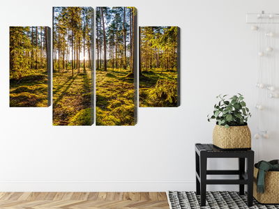 Ljuddämpande tavla - 3d sunny forest landscape