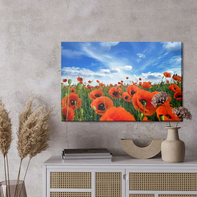 Ljuddämpande tavla - Blooming poppies in a meadow