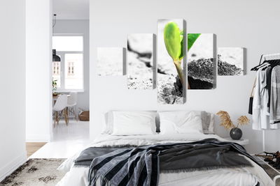 Ljuddämpande tavla - 3d plant sprouting