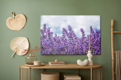 Ljuddämpande tavla - Lavender against the sky