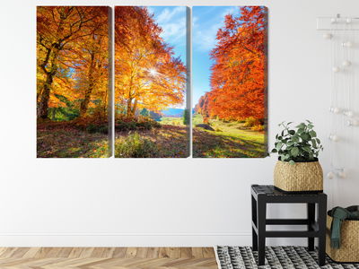 Ljuddämpande tavla - Colorful autumn trees