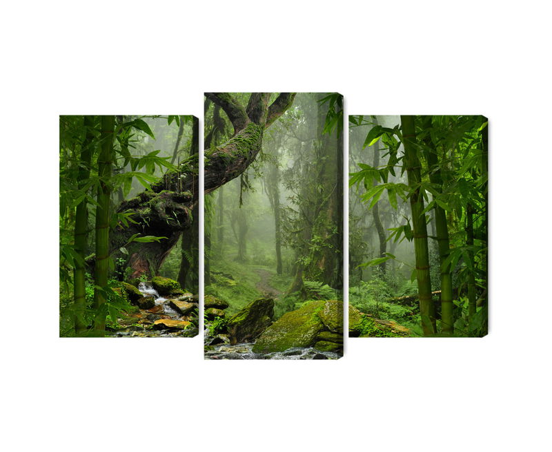 Ljuddämpande tavla - The green of the rain forest