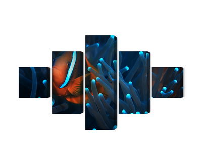 Ljuddämpande tavla - Clownfish in a 3d anemone